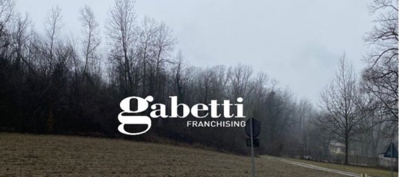 Земельный участок 7000м² в Портакомаро, Италия № 90162 9