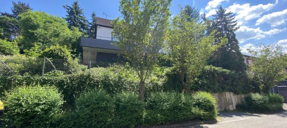 Дом с 3 комнатами в Энц, Германия № 246941 3