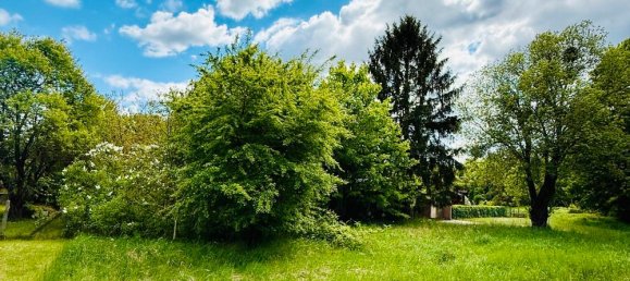 Terreno em Markisch-Oderland, Germany N.º 266375 7