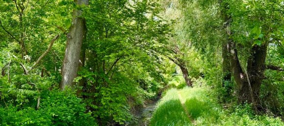 Terreno em Markisch-Oderland, Germany N.º 266375 6