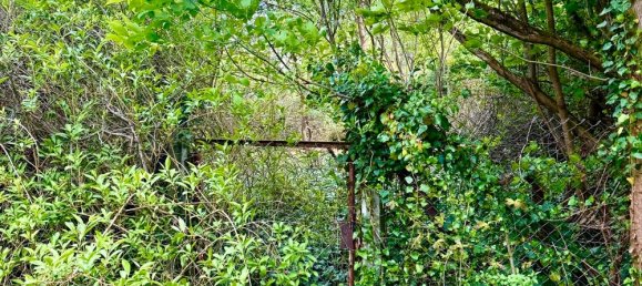 Terreno em Markisch-Oderland, Germany N.º 266375 5