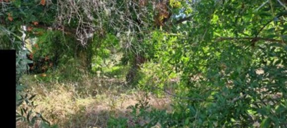 7غرفة شقة في San Pier Niceto, Italy رقم 47806 9