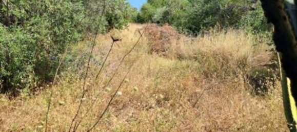 7غرفة شقة في San Pier Niceto, Italy رقم 47806 8