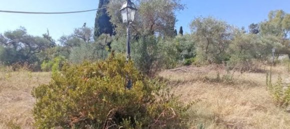 7غرفة شقة في San Pier Niceto, Italy رقم 47806 14