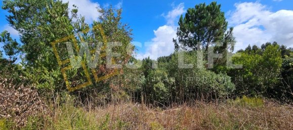 قطعة أرض في Mafra, Portugal 1687متر مربع رقم 296255 8