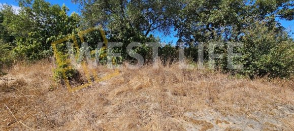 قطعة أرض في Mafra, Portugal 1687متر مربع رقم 296255 11