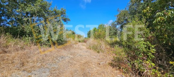 قطعة أرض في Mafra, Portugal 1687متر مربع رقم 296255 2