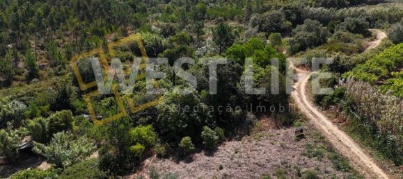 قطعة أرض في Mafra, Portugal 1687متر مربع رقم 296255 10