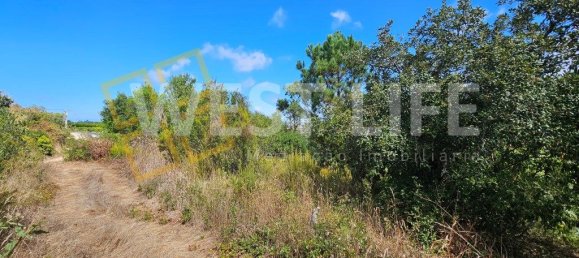 قطعة أرض في Mafra, Portugal 1687متر مربع رقم 296255 12