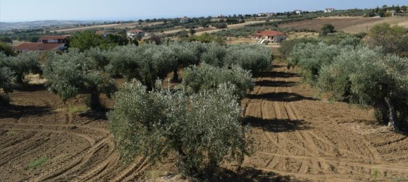 4 bedrooms Commercial property in Thessaloniki, Greece No. 4555 26