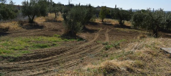 4 bedrooms Commercial property in Thessaloniki, Greece No. 4555 8