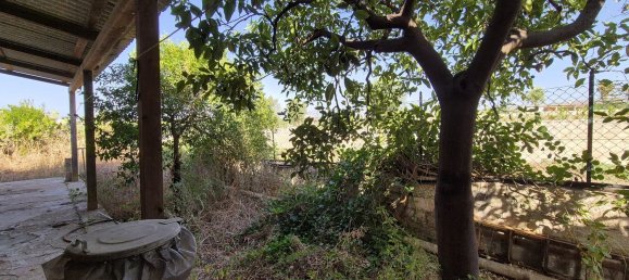 6-salle Villa à Avola, Italy No. 276512 15