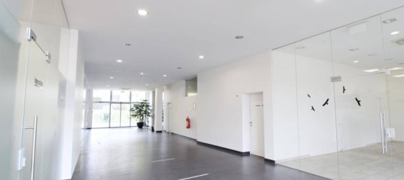 Propiedad comercial en Traun, Austria 722 m² No. 251075 2