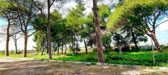 20 rooms Villa in Lecce, Italy No. 203126 9