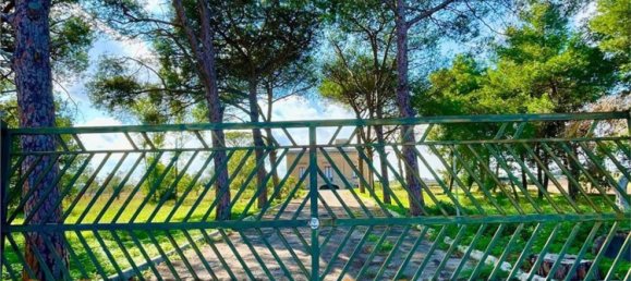 20 rooms Villa in Lecce, Italy No. 203126 21