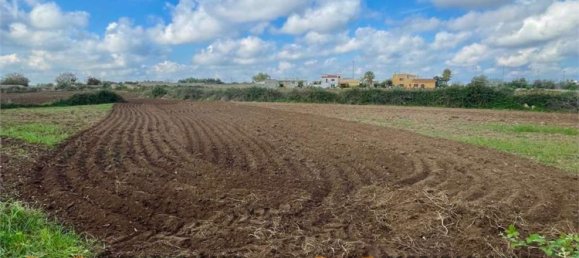 20 rooms Villa in Lecce, Italy No. 203126 27