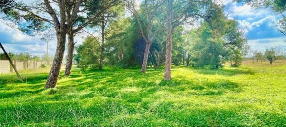 20 rooms Villa in Lecce, Italy No. 203126 29