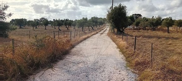 4 غرف نوم منزل في Evora, Portugal رقم 65719 4