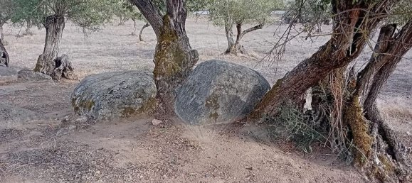 4 غرف نوم منزل في Evora, Portugal رقم 65719 2