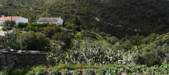 3 chambres Maison à Salir, Portugal No. 160039 5