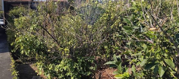 Terreno em Acireale, Italy 1152 m² N.º 76427 5