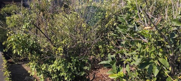 Terreno em Acireale, Italy 1152 m² N.º 76427 2