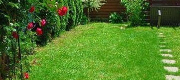 Apartamento de 2 habitaciónes en Sieghartskirchen, Austria No. 233305 16