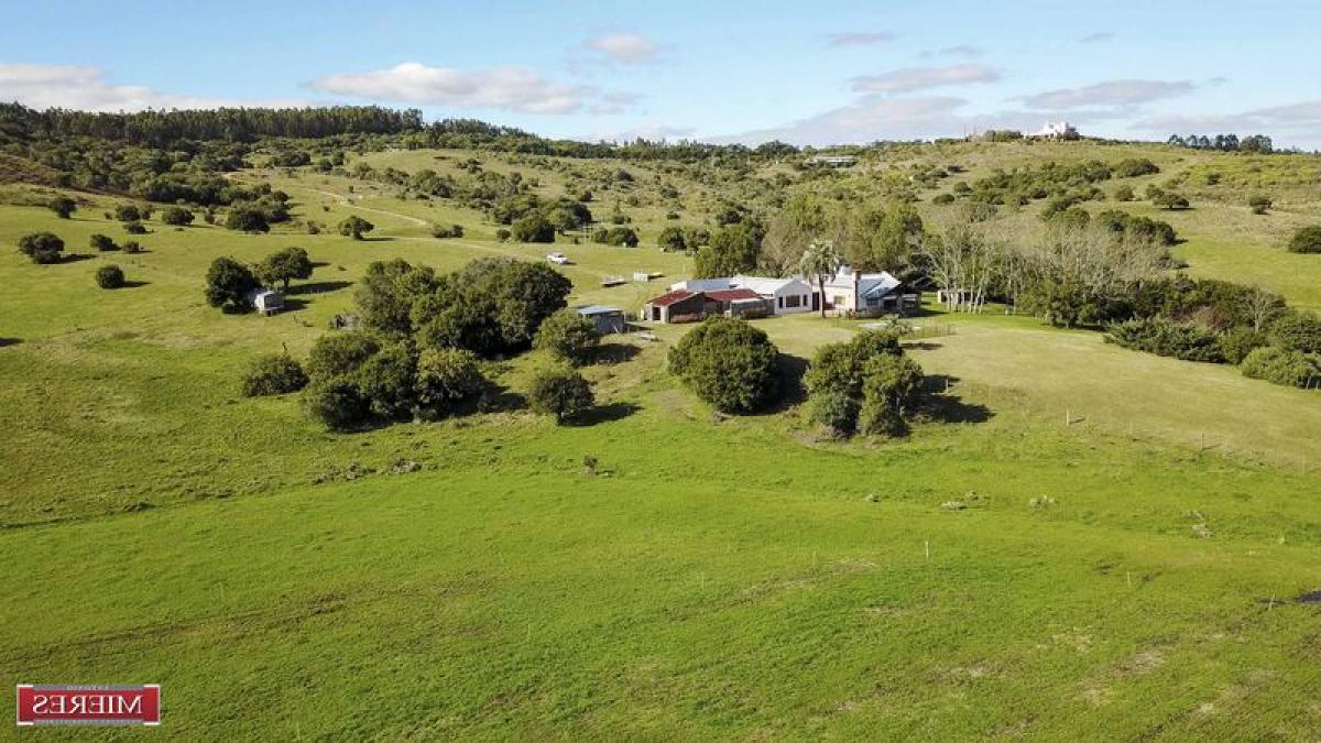 Granja en Maldonado, Uruguay No. 15674