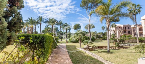 2 chambres Appartement à Mallorca, Spain No. 81002 36