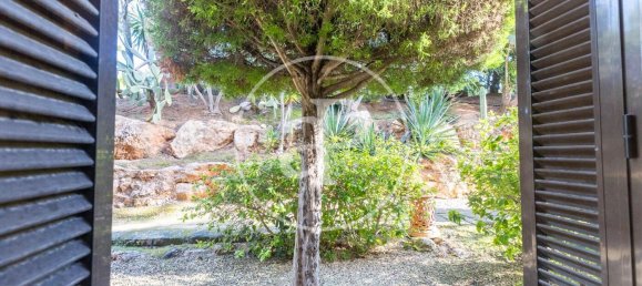 2 chambres Appartement à Mallorca, Spain No. 81002 25