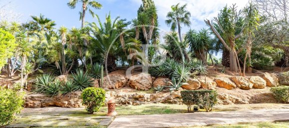 2 chambres Appartement à Mallorca, Spain No. 81002 7