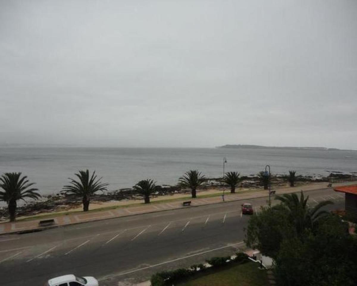 Квартира с 3 спальнями в Мальдонадо, Уругвай № 11050