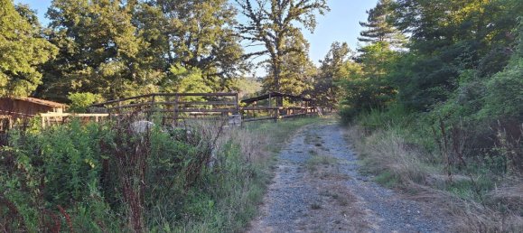 Склад 380м² в Майссана, Италия № 308166 6