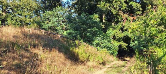 Склад 380м² в Майссана, Италия № 308166 11