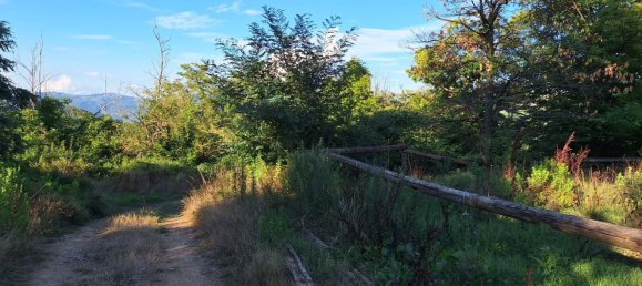 Склад 380м² в Майссана, Италия № 308166 5