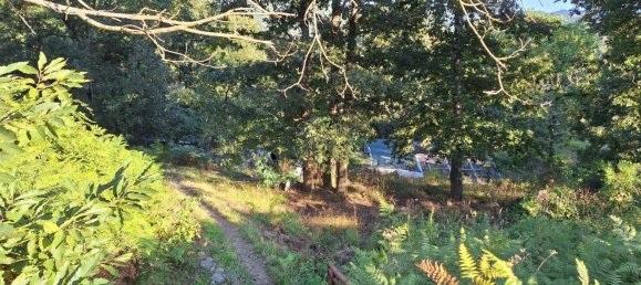 Склад 380м² в Майссана, Италия № 308166 10