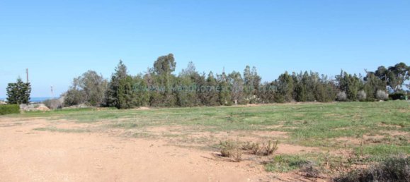  Land in Pernera, Cyprus No. 24084 6