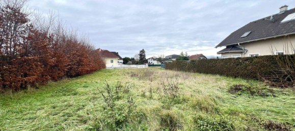 Terrain à Pottendorf, Austria No. 49643 2