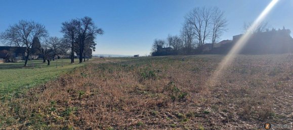 Grundstück in Steinberg-Dörfl, Austria, Nr. 36653 3