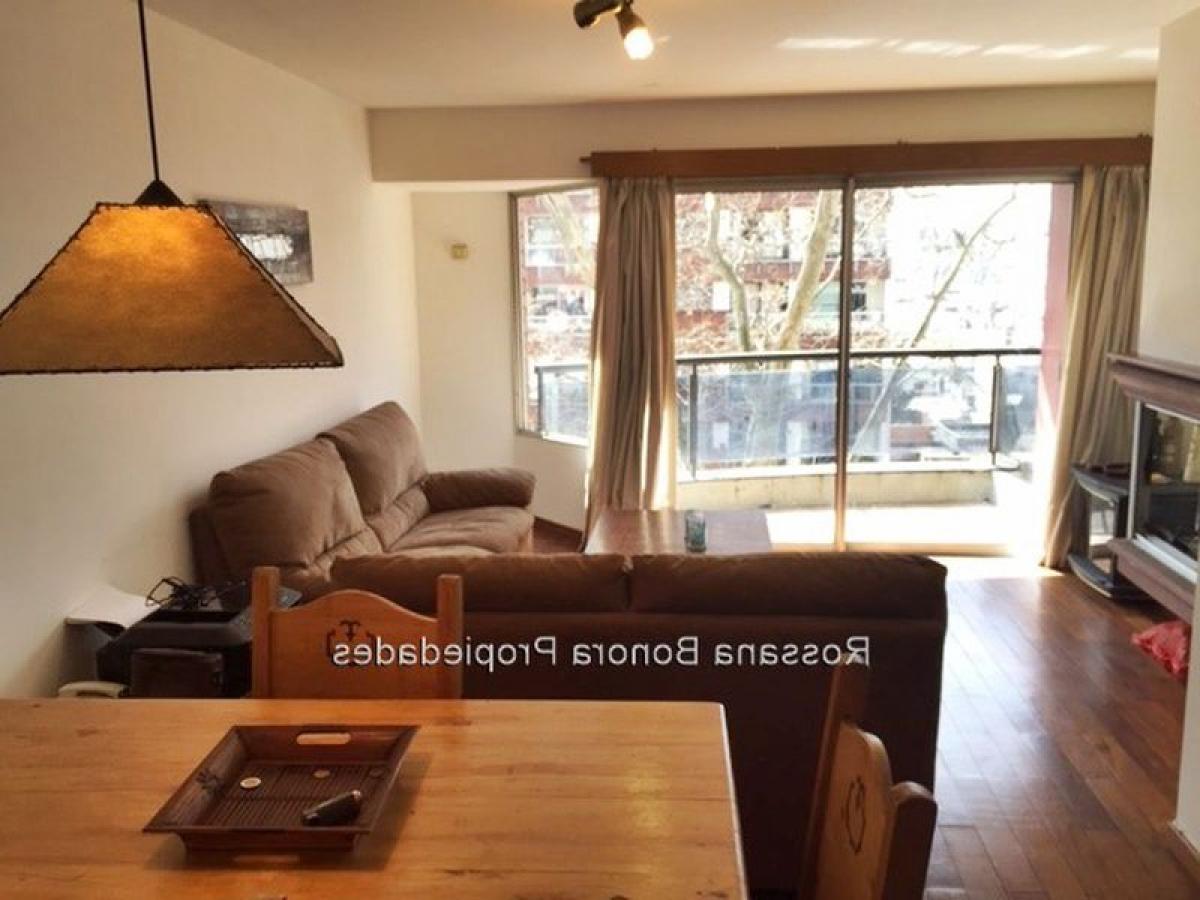 استوديو في Montevideo, Uruguay رقم 1890