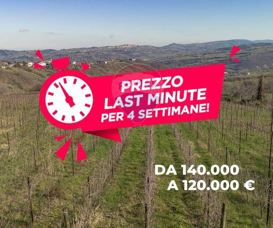 1غرفة قطعة أرض في Mergo, Italy رقم 15543