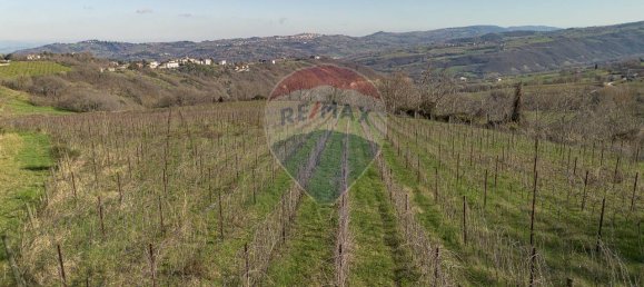 1غرفة قطعة أرض في Mergo, Italy رقم 15543 2