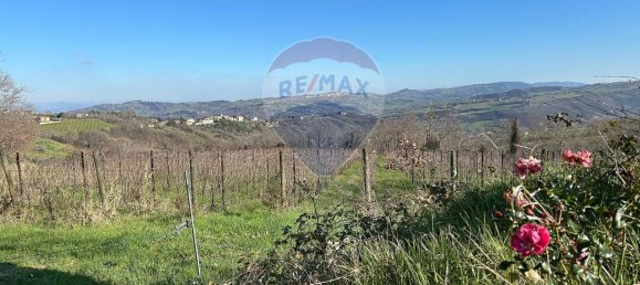 1غرفة قطعة أرض في Mergo, Italy رقم 15543 20