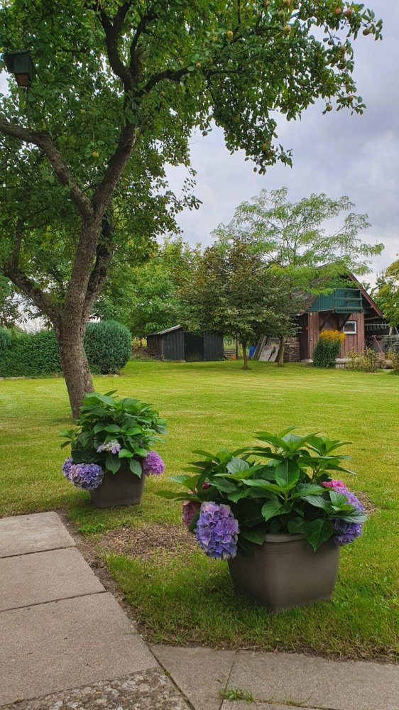 Таунхаус с 4 спальнями в Зегеберг, Германия № 271623