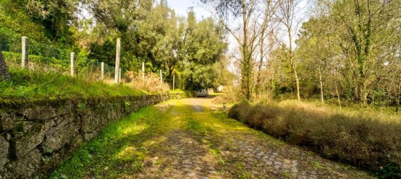 9 bedrooms House in Lanhoso, Portugal No. 34259 24