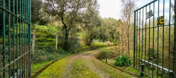 9 bedrooms House in Lanhoso, Portugal No. 34259 25