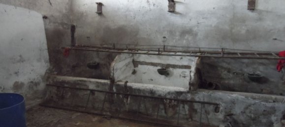 6-Zimmer Haus in Rimini, Italy, Nr. 211928 21