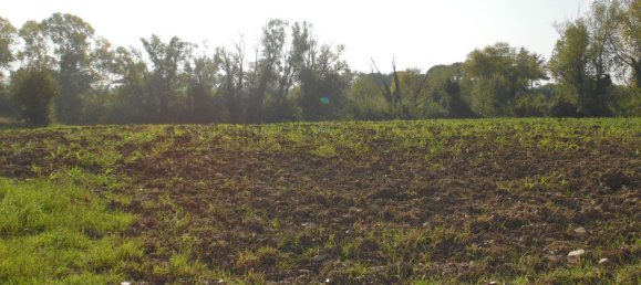 6-Zimmer Haus in Rimini, Italy, Nr. 211928 13