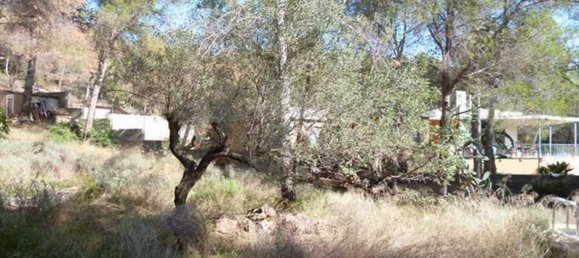 1759m² Land in Naquera, Spain No. 89650 2