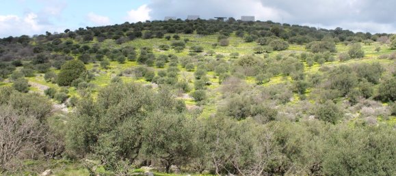 Hotel em Neapoli, Greece 10800 m² N.º 4894 5
